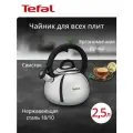 Чайник со свистком TEFAL Intuition N4180317