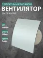 Вентилятор вытяжной осевой бытовой настенный, декоративная накладка, цвет шлифованное серебро, D 100 мм, диаметр 100 мм