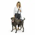 Ходунки поддержка передних и задних лап для больных и пожилых собак PetSafe CareLift, размер L