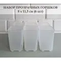 White Garden Прозрачные высокие горшки для суккулентов и кактусов 8х11,5 см. Набор из 6 штук