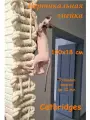 Вертикальная Змейка 100х18х3,2 см. С креплениями. Catbridges Настенный мост для кошек. Когтеточка. Лежанка.