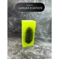 Брусок шишка в акриле