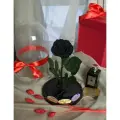 Стабилизированные цветы в стекле, Роза в колбе живая Premium черная 27x16,5 см, GIFT4YOU