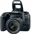 Фотоаппарат Canon EOS 77D kit 18-55mm STM