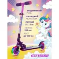 Самокат двухколесный CITYRIDE, складной, колеса PVC 120/120, выдвижной руль, CR-S2-09JUN
