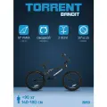 Велосипед TORRENT Bandit (рама сталь 10, подростковый, BMX, колеса 20д.)