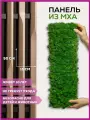 Панно настенное 15х50 мох стабилизированный, панель для стен, декор для дома, на стену, в комнату, декорация настенная