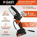 Пила аккумуляторная цепная в кейсе, 2 АКБ, 2 цепи, 1 шина, DAST