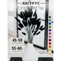 Лагурус Сухоцветы для декора
