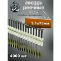 Гвозди реечные 21 градус 3,1/75 мм оцинкованные с кольцевой накаткой RiCnk, 4000 штук