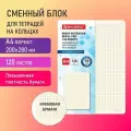 Сменный блок для тетради на кольцах большой формат А4 120 л, BRAUBERG, повышенной плотности, кремовый, 404517 Набор - 3 шт.