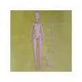Модифицированная БЖД кукла шарнирная 30см bjd doll 1/6+доп