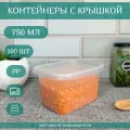 Контейнеры одноразовые с крышкой для хранения и заморозки продуктов 100 шт, объем 750 мл, Каштан Практик L