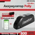 ChamRider Polly 9 48V20.3Ah Аккумулятор для электротранспорта BMS 50A доставка из Москвы долгий запас хода