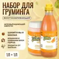 Выгодный набор Iv San Bernard Orange Шампунь 1 л + Маска 1 л для кошек и собак со слабой и выпадающей шерстью