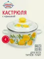Кастрюля эмалированная сталь, 4 л, с крышкой, крышка сталь, сферический, Сибирские товары, Лимоны, 3MC201P, индукция