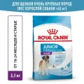Корм для собак Royal Canin Корм Giant Junior (Джайнт Юниор) сухой для щенков очень крупных размеров до 8 месяцев, 3,5 кг