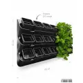 Фитомодуль BOXSAND-21 (100х65 см) в комплекте с горшками 2,0 литра. Цвет -черный