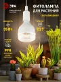 Фитолампа для растений светодиодная ЭРА GREEN LINE ФИТО-35W-PFR-E27-GR полного спектра 35 Вт Е27