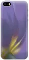 Силиконовый чехол на Apple iPhone SE / 5s / 5 / Эпл Айфон 5 / 5с / СЕ с рисунком Фиолетовая фиалка