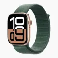 Умные часы Apple Watch S10 46 Rose Gold Lake Green Solo Loop (S4)