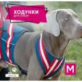 Полная поддержка для собак. Ходунки для пожилых и травмированных собак. Размер M.