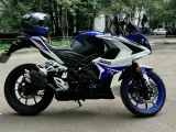 Мотоцикл RACER RC250XZR-A STORM_син (с ПТС в заводской упаковке)