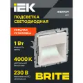 Подсветка светодиодная встраиваемая IEK BRITE ПЛ20-БрЖ, жемчужный, квадратная, 1Вт, IP20, 4000К, пластик