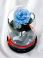 Живая Роза в колбе TheRoseDome Premium, цветок в колбе, вечная роза, подарок, декор для интерьера, цвет: голубая