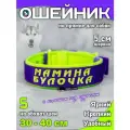 Ошейник для собак Buddy team на пряжке, с вышивкой мамина булочка, ширина 5 см, с мягким подкладом для средних и крупных пород, размер S