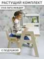 Детский растущий стол мольберт и стул с подушкой