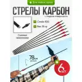 Стрелы для лука, 6 штук