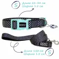 Ошейник и поводок для собак DOOG Pongo, черный в белую крапинку, S, 23-34см/120х1.5см, комплект