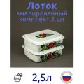 Лоток эмалированный 2,5л для холодца, с рисунком Фрукты, комплект 2 шт