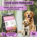 Сухой корм ProBalance Puppies Maxi для щенков крупных пород, 2кг