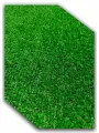 Искусственный газон_1.5 на 2.5(ворс 8 миллиметров)