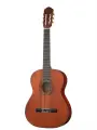 Классическая гитара Naranda CG220-3/4