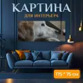Картина на холсте Собака, золотистый ретривер, ретривер на подрамнике 175х75 см. для интерьера