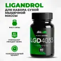 Тестостероновый бустер Hell Labs SARMs, 60 таблеток, нейтральный вкус