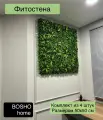 Фитостена из декоративных растений модульная в размере 50х50 см, комплект из 4 штук