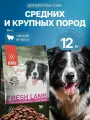 Корм для собак Blitz Fresh Lamb Medium & Large Breeds, холистик, гипоаллергенный, ягненок