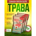 Газонная трава семена Канада Грин Элитная 15кг / Элит 15кг/ Canada Green Elite 15кг/ семена газона райграс, мятлик, овсяница
