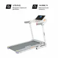 Беговая дорожка Fizard RP-40, 1.75л. с, 121х41см, макс. скорость 14км/ч, Bluetooth