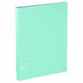 Папка на 4 кольцах Berlingo Haze A4, 24мм, 600мкм, D-кольца, с внутр. карманом, мятная, софт-тач (1 шт)