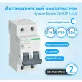 Автоматический выключатель Systeme Electric City9 2P 10А характеристика C (комплект из 2 шт)