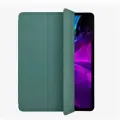 Чехол для iPad PRO 12.9 2022г. (6-го поколения) Smart Folio Cactus - Дикий кактус