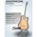 Гитара акустическая 38 Санбёрст (Набор начинающего гитариста, Belucci BC3810 SB)