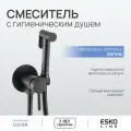 Смеситель скрытого монтажа черный с гигиеническим душем/лейкой. Латунь