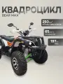 Квадроцикл BearMax, 250 куб. см, 18л. с, бензиновый двигатель, максимальная скорость 65км/ч