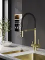 NEW. Смеситель для кухни Esko Line с подключением к фильтру EL_K122Gb, золотой/черный